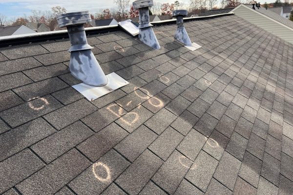 Inspection Hail Damage